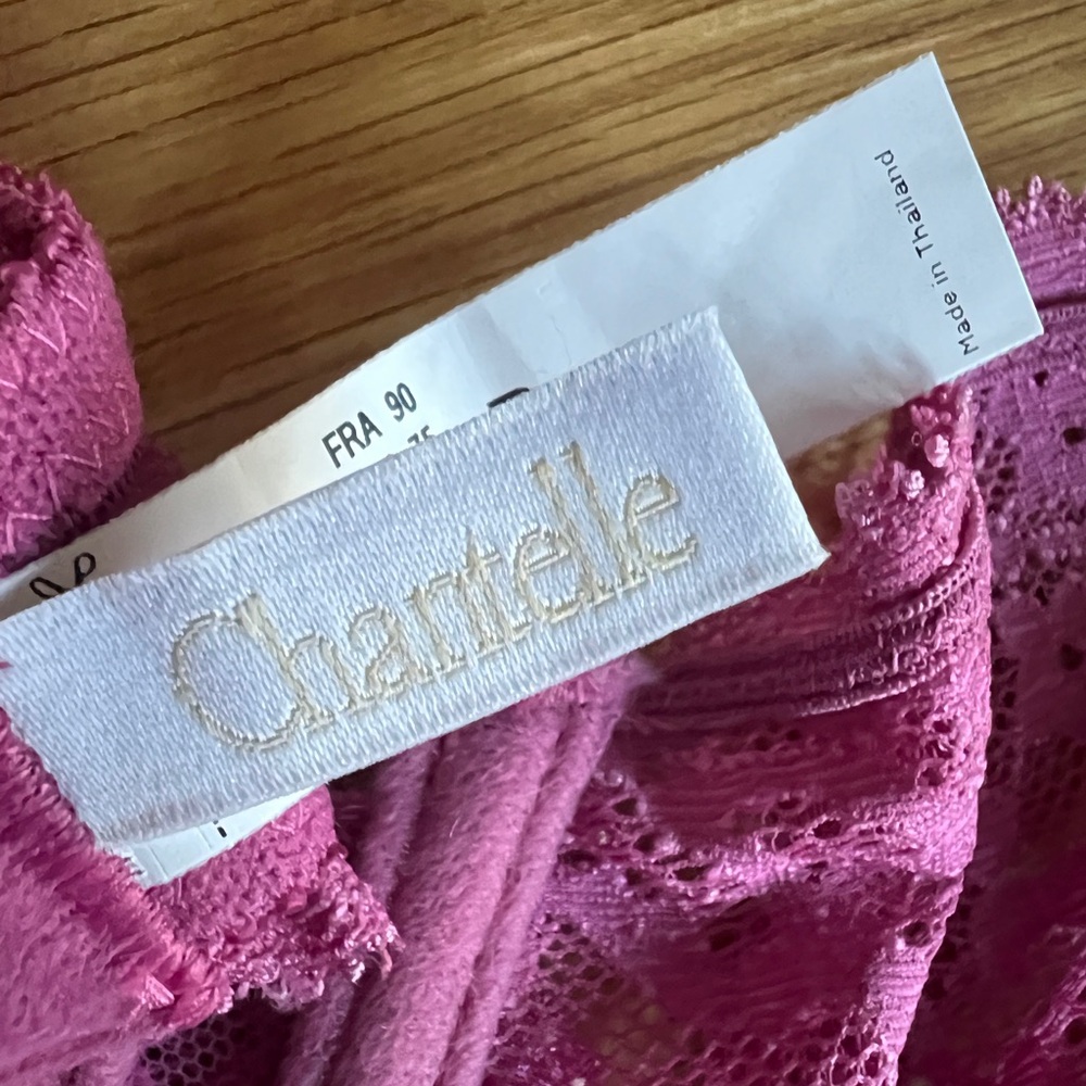 CHANTELLE RIVE GAUCHE LACE BRA & PANTY SET, SIZE 34D & SMALL, NWT. - Picture 4 of 11